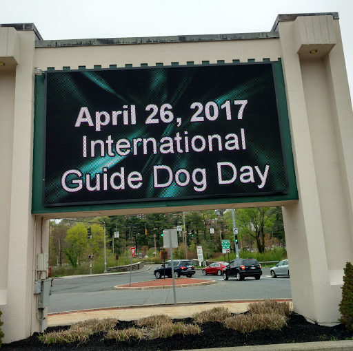 International Guide Dog Day